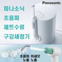 파나소닉 노즐교체형 제트워셔 구강세정기 EW1613, 1개