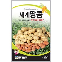 세계땅콩 씨앗 30g 수량성 많고 고소한 맛이 일품 세계종묘, 1개