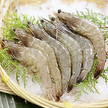 국내산 신안 청정비금도 활새우 1kg 급냉 항생제검출검사제로, 1kg(28~29 내외)