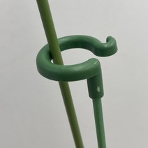 오링지지대, 58cm