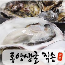 푸릇푸릇 통영 굴 생굴 석화 석굴 자연산 하프셀 김장용 횟감 찜 구이용 각굴 하프쉘 산지직송 1kg 2kg 5kg 10kg, 01.통영 생굴 2kg