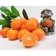 조은돌담 당도폭발 제주 카라향 1.5kg/2.5kg/4.5kg, 4.5kg, 로얄과