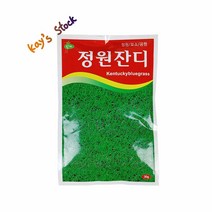 정원잔디씨앗 30g 잔디씨앗 정원잔디 묘소잔디 공원잔디 운동장잔디 골프장잔디