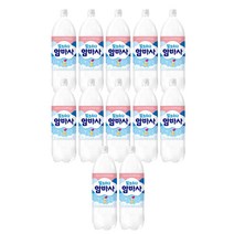 코카콜라 암바사 1.5L 12개 탄산음료, 쿠팡 블루스카이캐슬 1