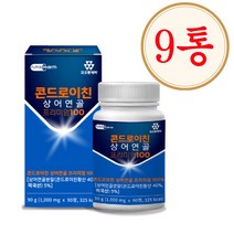 코오롱제약 콘드로이친 상어연골 프리미엄 100, 90정, 10개