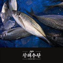 제주어가 명품 전갱이 대, 2kg