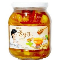 담터 꿀생강차 770G, 48개