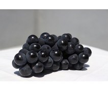 당도선별 캠벨포도 2kg 3kg (대부도 송산 랜덤 발송) 에어캡포장, 가정용 3kg(6~15송이), 1개