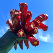 2023년 국내산 햇 건고추 경북 영양 꼭지제거 말린 통고추 1kg 3kg, 국산 건고추 1kg, 1개