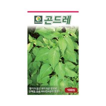 다농 곤드레 씨앗(고려엉겅퀴) 100립
