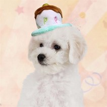 파티생각 펫 미니 생일케익 머리띠, 민트/보험 가입거절