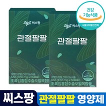 차승원 관절건강 씨스팡 관절팔팔 초록입홍합오일 캡슐 식약처 인증 친환경 그린 푸른 녹색 초록 초롱 잎 입 홍합 초롱이 시스팡 씨스팜 관절 무릎 연골 88 홈쇼핑 방송 광고, 1개, 56캡슐