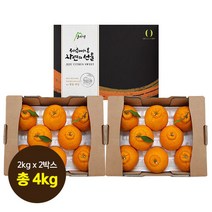 [산지애]제주 햇 한라봉 4kg (2kgx2박스), 단품