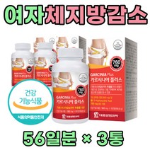50대 여성 가르시니아 채지방 감소 마테 보조제 3통 겨울 다이어트 보조제 껍질 열대식물 가르시아 가르시아나 중년 남자 여자 60대 먹는 아침 저녁 단기 전 후 가르니시아 건강