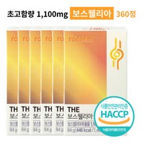 보스웰리아 고함량 고농축 고관절 무릎 어깨 손목 연골 관절 HACCP 식약처인증 추천, 보스웰리아 6개, 84g, 6개