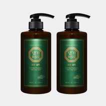 댕기머리 [댕기머리]명품 샴푸 500ml 2개