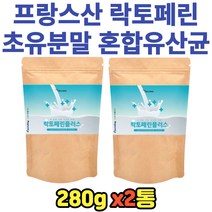 갱년기 단백질 영양 락토페린 유산균 초유파우더 2통 가족 할아버지 할머니 분말 보충 물에타먹는 단백질드링크 속편한 효능 먹기편한 소화 쉐이크 한끼식사 MBP 밀크칼슘 추천 면역