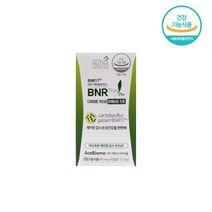 bnr17 비에날씬프로 비엔알 다이어트 비엔나17 리얼 모유유산균 포스트바이오틱스 3+1[2종택일], 비에날씬프로 BNR17  1개월(1통)