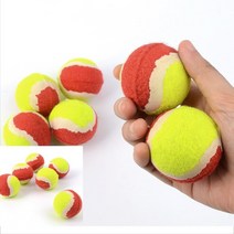 강아지 혼자있을때 무는버릇 고양이 이갈이장난감 볼 애견 장난감 멍멍이 토이 치발기 6P, 단일