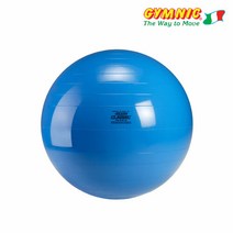 짐닉 클래식 짐볼 65cm 파랑, 선택완료