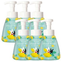 가스파드앤리사 핸드워시 레몬향 용기 250ml 6개
