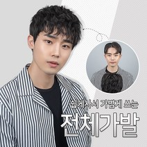 가발닷컴 Z컬 스핀 스왈로 탈모극복 대머리가발 남자 전체가발, 1개, 2.내츄럴브라운 L사이즈