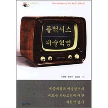 플럭서스 예술혁명:예술체험과 예술창조의 새로운 가능조건에 대한 미학적 탐구, 갈무리