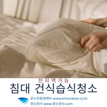 페르시안카페트세탁 실크카페트청 옴진드기소독 의자곰팡이 가죽소파청소업체 대형카페트세탁 아쿠아텍스쇼파청소 카페트세척 메쉬의자청소 일룸의자세척 업소용카페트청소 카펫청소업체