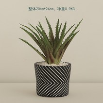 다육 조화 화분 선인장 데코 미니 노르딕 인조, 04. G