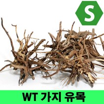 WT 가지유목 S (10~15cm)/ 수족관 어항 장식품 수초 모스 활착 레이아웃 나무 구피 열대어 은신처 뿌리