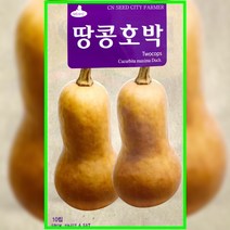 땅콩호박씨앗 10립 땅콩호박씨 종자, 농우 애호박씨앗 50립