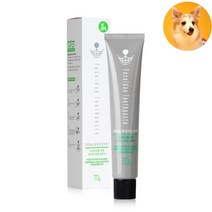 개치약 칫솔 치료제 잇몸약 노견입냄새제거 워터 애견
