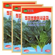 한국대농종묘 시금치씨앗 10g-3봉 검은엽색 노균병에강함 맛과 모양이좋음