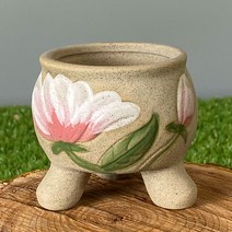 다육맘 수제화분 다육화분 꼬미1, 연카키