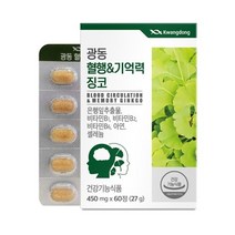 광동생활건강 광동 혈행&기억력 징코 450mg x 60정, 6개