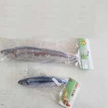 고양이 장난감 꽁치(20cm), 7개