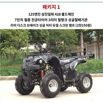 ATV 사륜바이크 전지형 4륜 오프로드 오토바이 크기 불스 4구동 유니버설 액슬 드라이브 2인 가솔린, 01 송아지 세트1