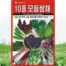 10종모듬 쌈채 씨앗 쌈채 씨 종자 1000립, 단품