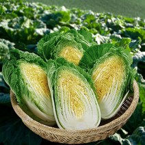 [해남대박농원] 속차고 잘 절인 해남 절임배추 김장배추 20kg 산지직송 해남배추, 12월 10일(토) 수령