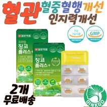기억력 은행잎추출 일양 징코 플라보놀배당체 은행잎추출 다리혈액순환 혈압영양제 뇌에좋은음식 혈관막힘 혈행개선 포스타딜세린 기억력영양제 혈관청소 노화 기억력감퇴