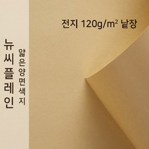 뉴씨플레인 종이문화 얇은 양면색지 120g 전지 낱장 1매 No.22 연갈색, 1장