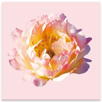 모란꽃 33종 돈들어오는 그림 한국화 캔버스액자 인테리어액자 거실액자 침실액자, 모란꽃21