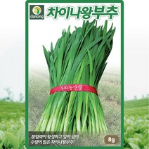 차이나왕 부추 씨앗 부추 씨 종자 20g, 단품