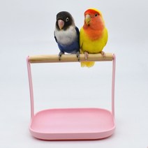 새 횃대 bird training stand 휴대용 tabletop parrot natural wood perch for small 중형 잉꼬 finch canary gray