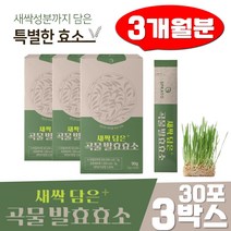 새싹보리 스틱 에리스리톨 파우더 분말 30포 3박스 곡물 발효 효소 탄수화물분해 지방
