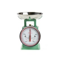 덜튼 0.5kg 주방저울, 민트그린