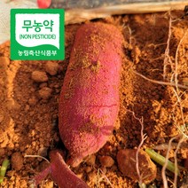 무농약 해남고구마 꿀고구마 베니하루카 10kg (중상), 상세페이지 참조