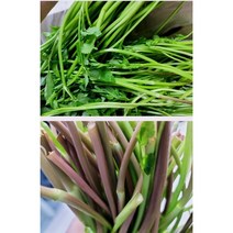 국내산 천수천 세척 밭미나리 (당일수확 / 산지직송), 4kg