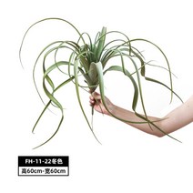 틸란드시아 베란다 대형 정원 그린 인조 인테리어 세로그라피카 조화 플랜테리어 식물 에어플랜트 벽걸이, FH11-22 겨울