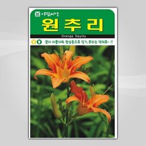 슬로시 꽃 씨앗 모음 꽃씨 허브 허브씨, 원추리30립(아람)